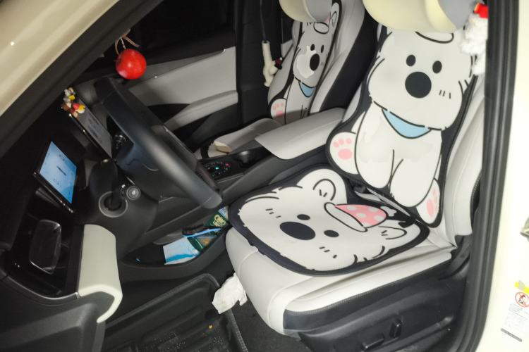 Used BYD Seal 06 New Energy 2024 DM-i 120KM Prestige Model Left Front Seat