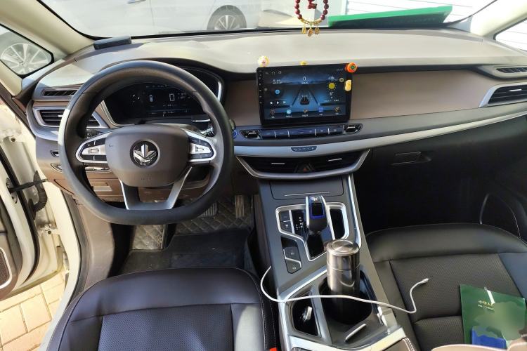 Used Livan Maple 80V 2021 Youtong Edition Ternary Lithium