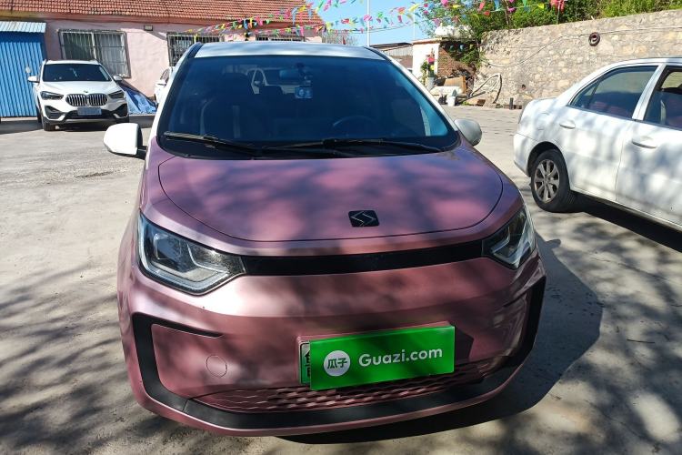 Used SOL E10X 2022 Flower Fairy Design Four-Leaf Clover Front