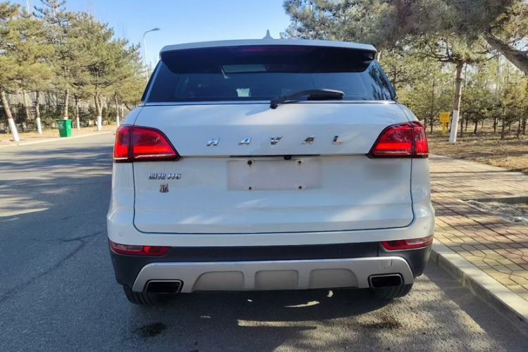 Used Haval H6 Coupe 2016 Blue Label 1.5T Automatic Two-Wheel Drive Elite Model
