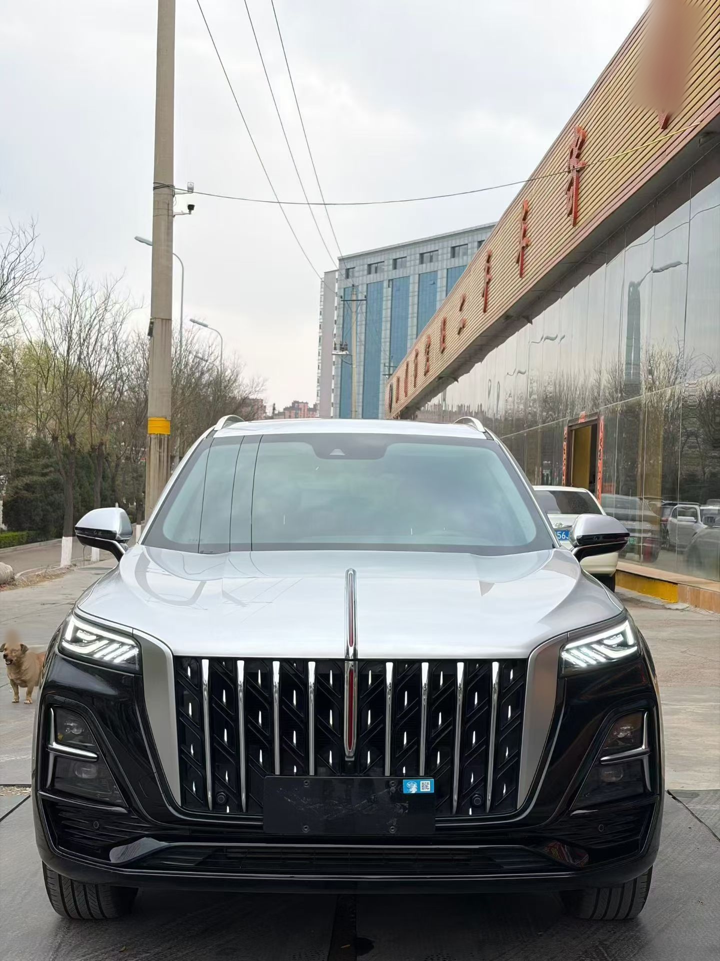 Hongqi HS5 2023 2.0T Qixiang Pro Edition — снимка 16