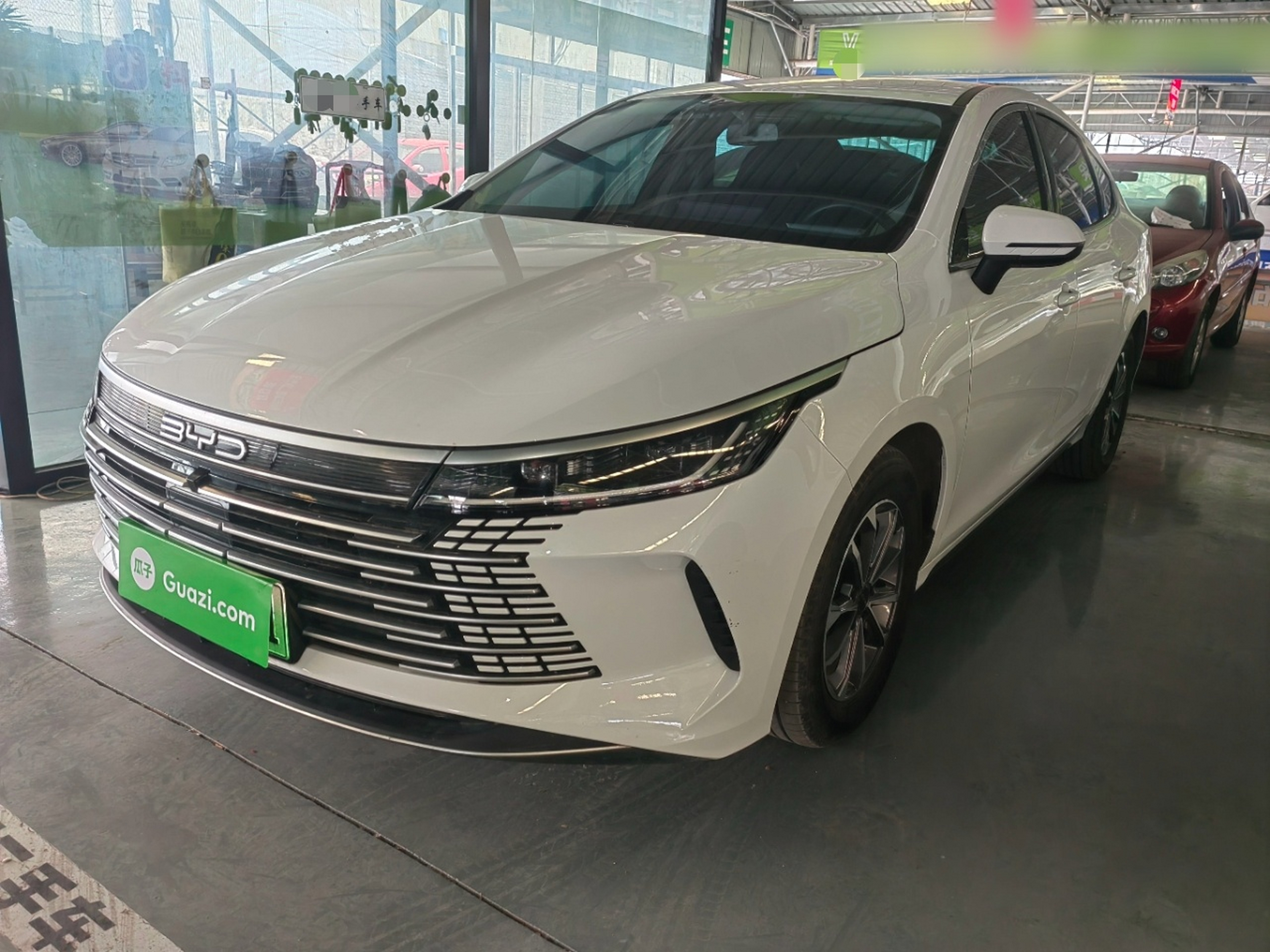 Parte inferior delantera