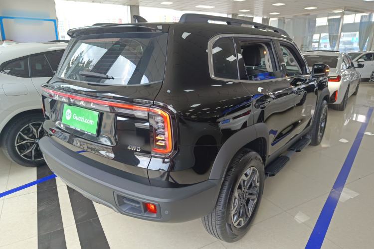 Used Haval DARGO 2024 2.0T DCT Chinese Rural Dog Edition
