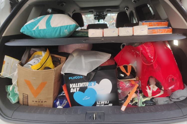 Used Wey VV6 2021 2.0T Two-Wheel Drive Smart Plus