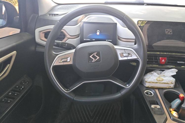 Used SOL E10X 2022 Flower Fairy Design Four-Leaf Clover