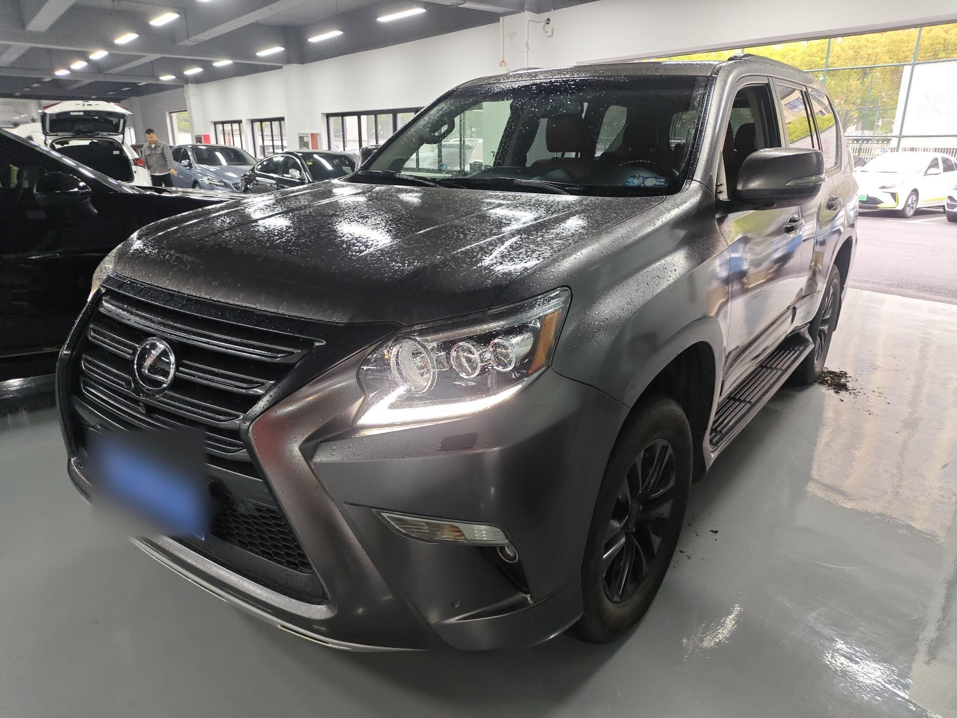 Parte inferior delantera