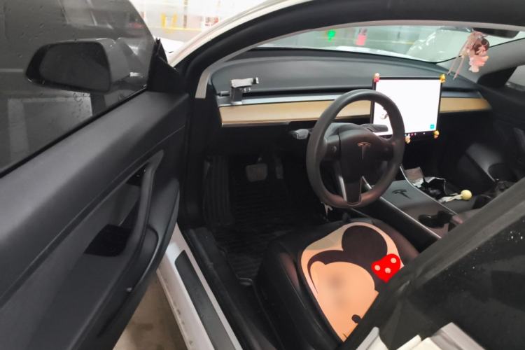 Used Tesla Model 3 2020 Revised Version Standard Range Rear-Wheel Drive – Upgraded Edition
