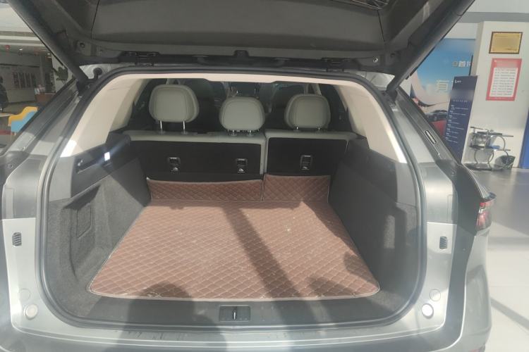 Used Chery Fengyun T10 2024 210 Luxury Edition
