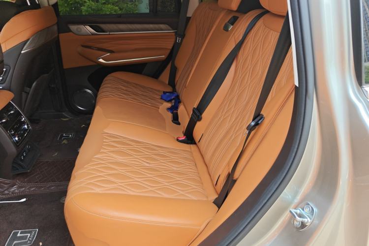 Used Tank 500 2022 3.0T Business Edition "Creation Realm" Design 5-Seater Left Rear Seat