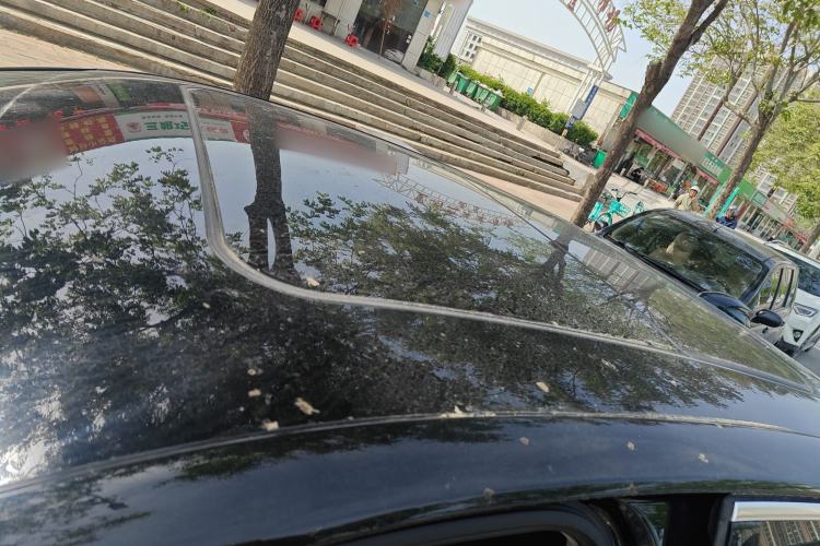 Used Hongqi H5 2023 2.0T Automatic Smart Connect Flagship Edition