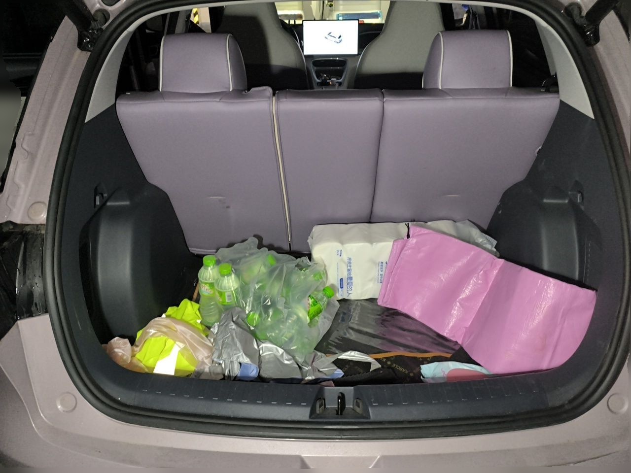 Geely Galaxy Geome 2026 Model 410km Freedom Edition — снимка 19