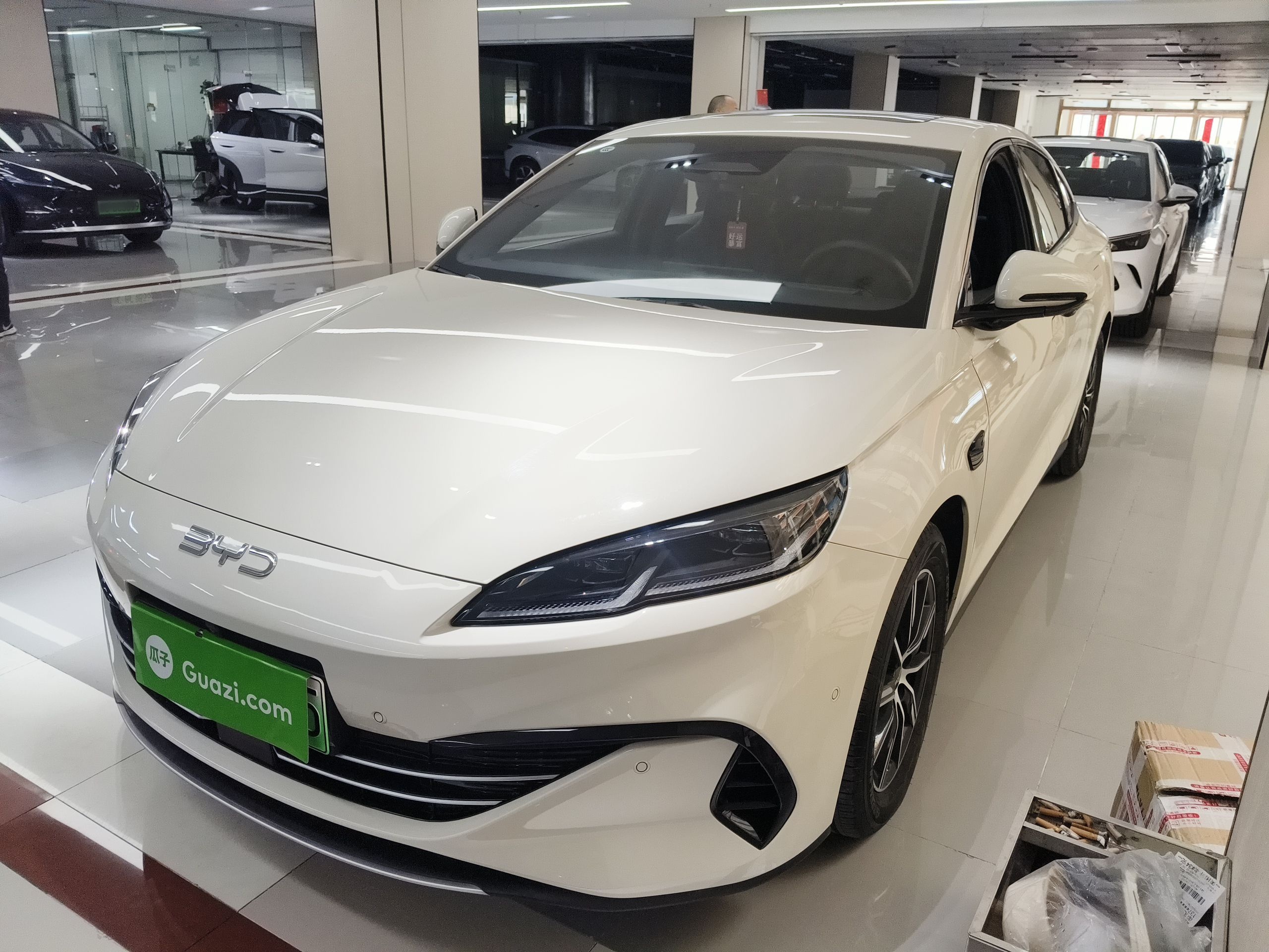 Parte inferior delantera