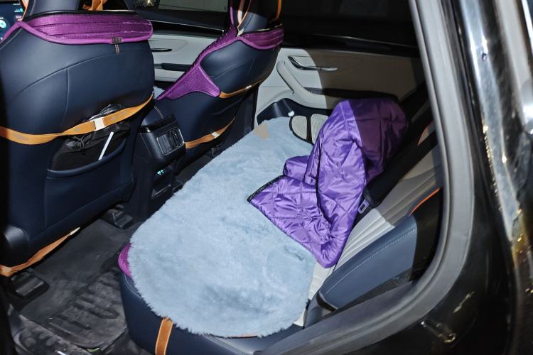 Used BYD Song PLUS New Energy 2024 HONOR Edition DM-i 71km Luxury Model Left Rear Seat