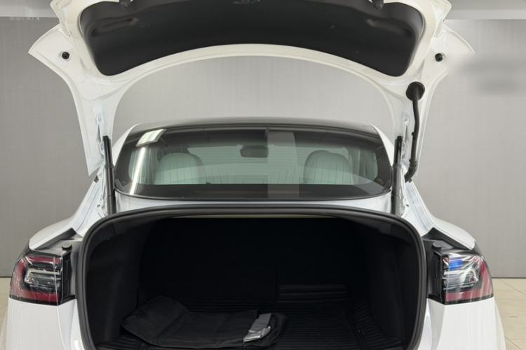 Used Tesla Model 3 2020 Standard Range Rear-Wheel Drive Upgraded Version