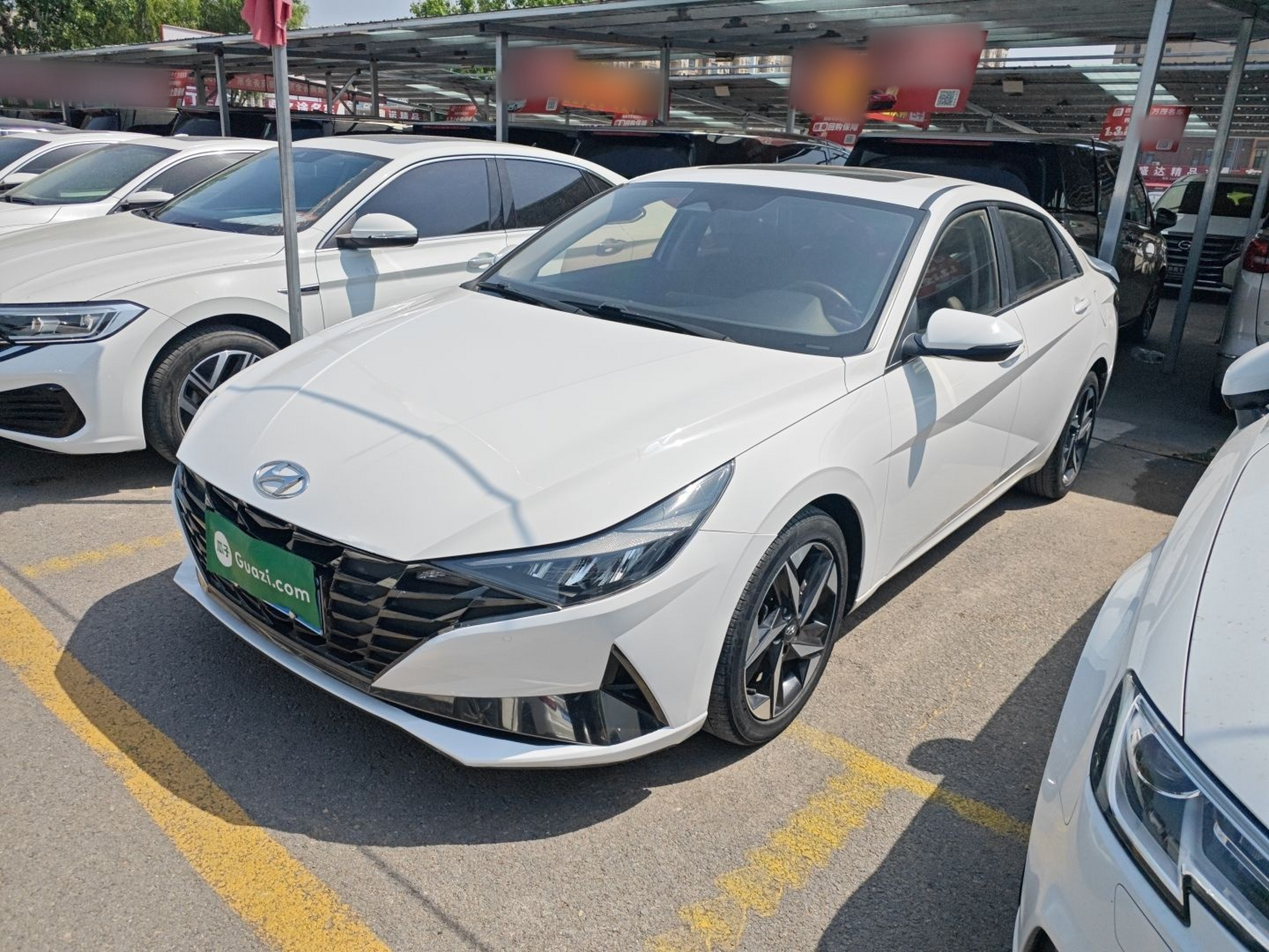 Parte inferior delantera