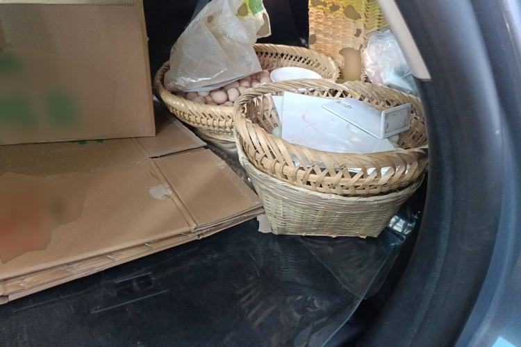 Used Lincoln Corsair 2023 2.0T Two-Wheel-Drive Luxury Edition Left Rear Seat