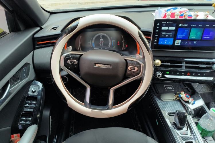 Used Haval LHERY 2021 High-Performance Version 1.5T Golden Rabbit