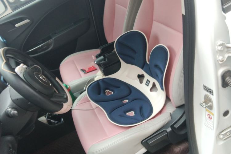 Used ORA White Cat 2020 305 km Luxury Version