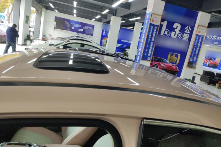 Used ORA Ballet Cat 2022 401 km Nutcracker Edition