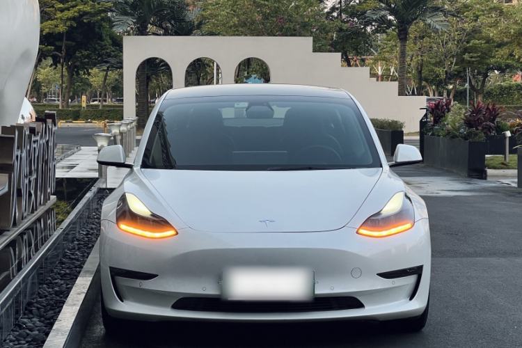 Used Tesla Model 3 2021 Revised Performance Version with All-Wheel Drive 3D1 Exterior 7