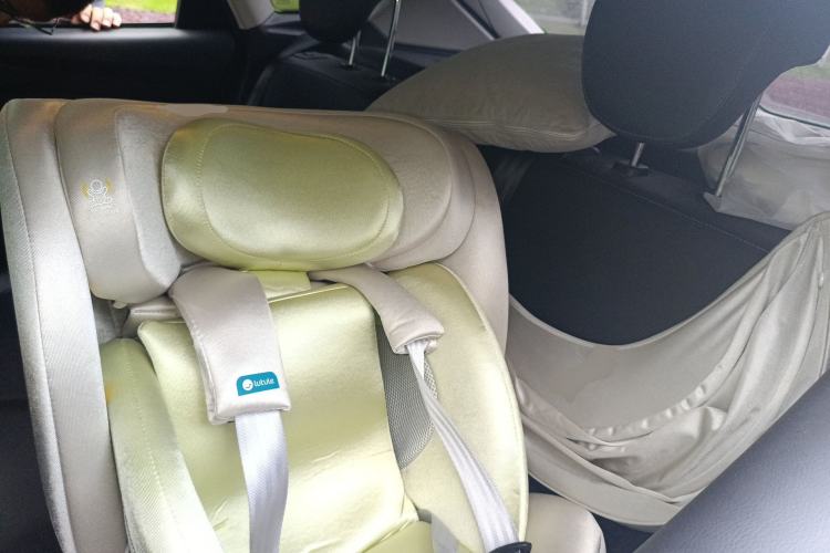 Used Ford Focus 2017 Hatchback 1.6L Automatic Fashion Edition Smart Drive Version Left Rear Seat