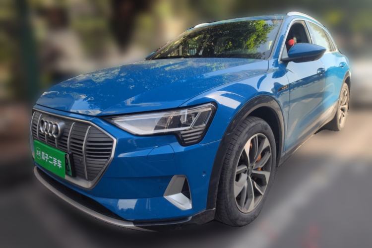 Used Audi e-tron 2019 55 quattro Global Limited Edition Edition 1