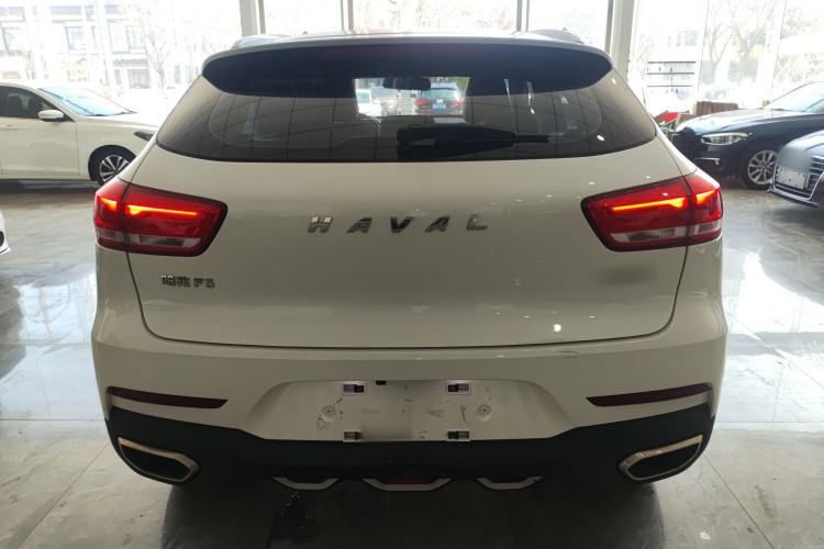 Used Haval F5 2019 National Trend Edition 1.5T i-Trend China VI Standard Rear