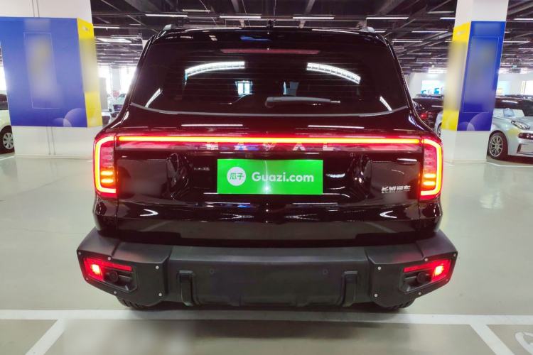 Used Haval DARGO 2024 2.0T DCT Chinese Rural Dog Edition Rear