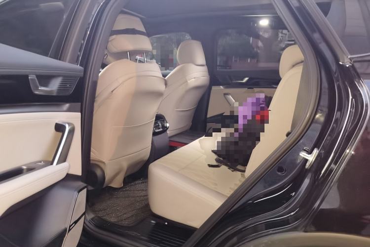 Used BYD Tang New Energy 2024 DM-i Glory Edition 112KM Prestige Model Left Rear Seat