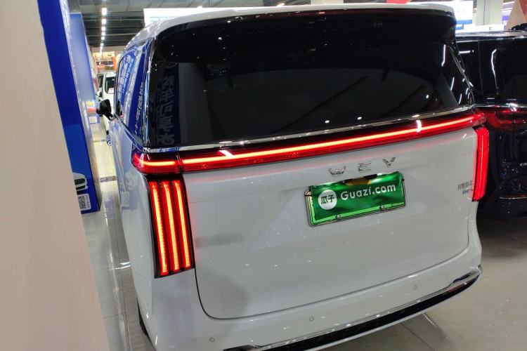 Used Wey Gaoshan 2025 Four-Wheel Drive Alpine 8
