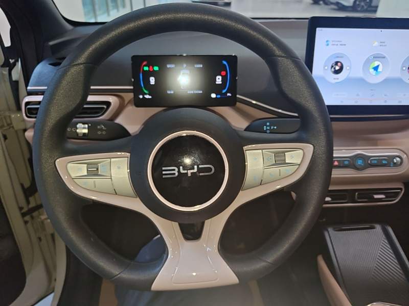 Used BYD Seagull 2025 Intelligent Driving Version 305 km Dynamic Edition — 10