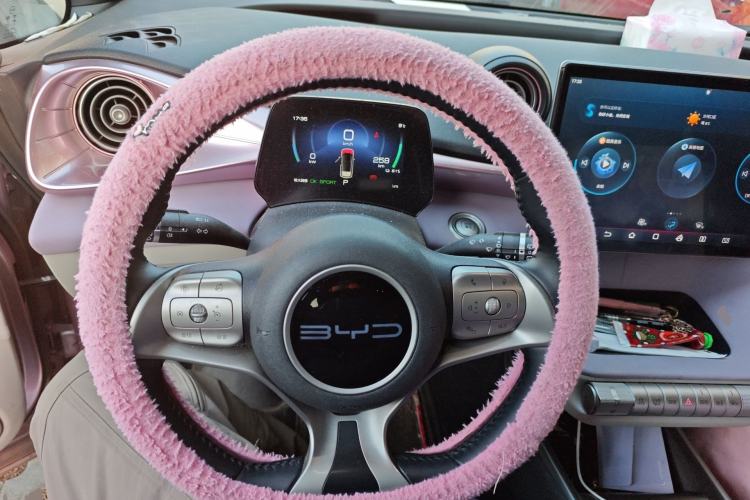 Used BYD Dolphin 2023 420 km Free Version Steering Wheel