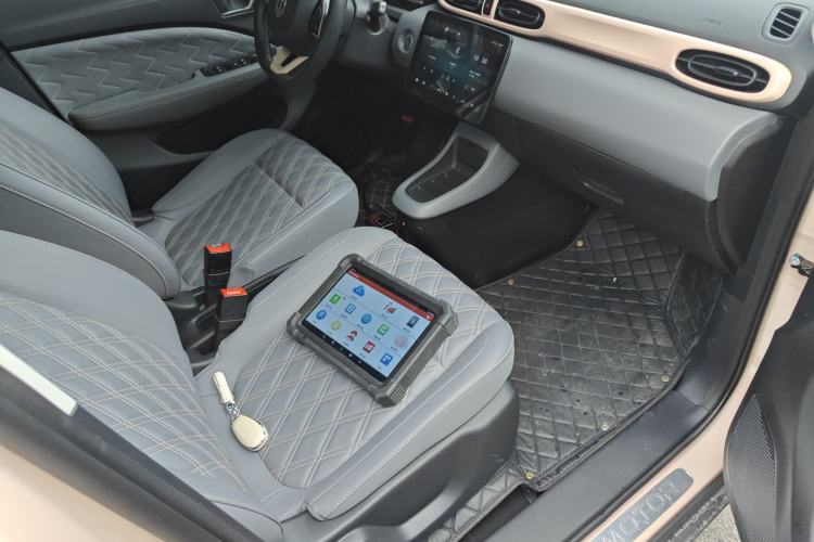 Used Leapmotor T03 2021 400 Luxury Edition Right Front Seat