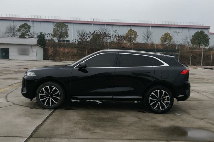 Used Wey Mocha 2021 2.0T Two-Wheel-Drive Ultra-Strong Version