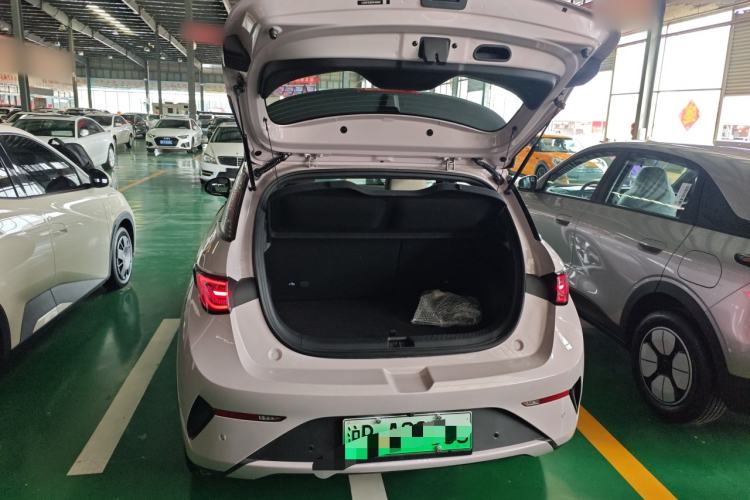 Used BYD Dolphin 2025 Intelligent Driving Version 410 km Fashion Edition