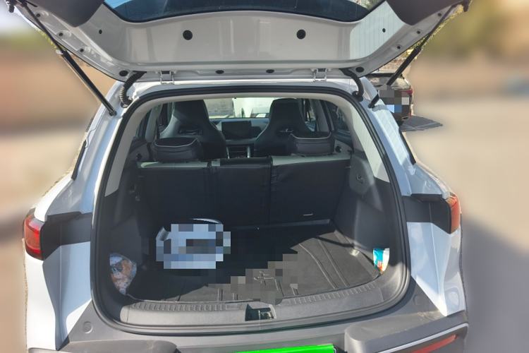 Used BYD Yuan UP 2024 401KM Leading Edition
