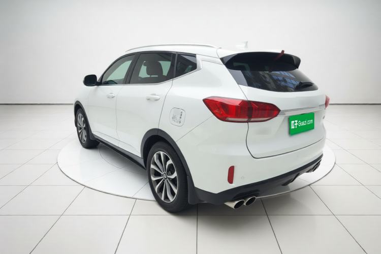Used Wey VV6 2018 2.0T Two-Wheel-Drive Ultra-Luxury Version China V Standard Rear Left 45 Deg