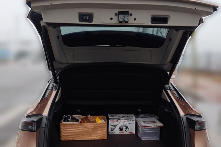 Used Nissan ARIYA 2022 Two-Wheel Drive Long Range Top-Tier Version