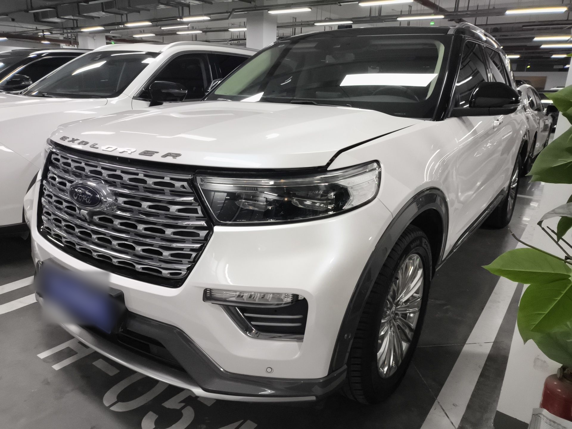 Parte inferior delantera