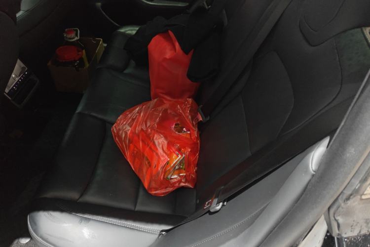 Used Tesla Model 3 2023 Rear-Wheel-Drive Version