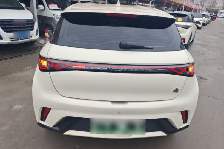 Used BYD Dolphin 2023 420 km Free Version Rear