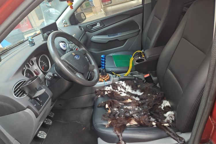 Used Ford Focus 2013 Hatchback Classic 1.8L Manual Base Model