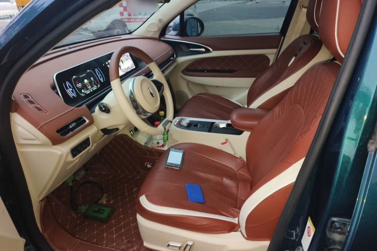 Used ORA Good Cat 2022 Morandi Edition 400km Standard Range Luxury Version Lithium Iron Phosphate Left Front Seat