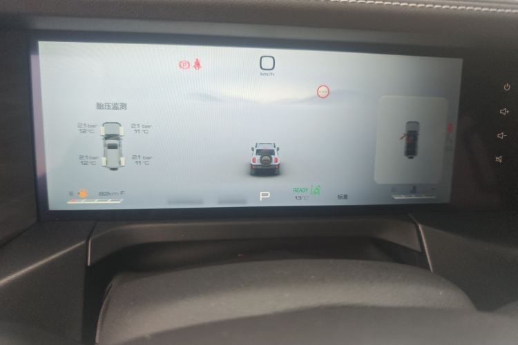 Used Tank 300 2024 2.0T Crosser
