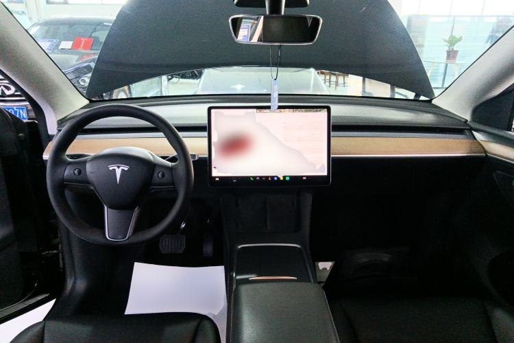 Used Tesla Model Y 2021 Standard Range Rear-Wheel Drive Version
