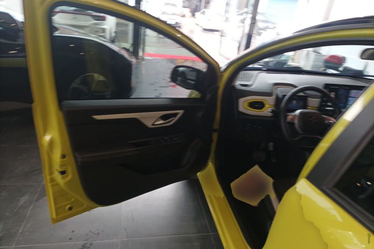 Used SOL E10X 2022 Flower Fairy Style Baby's Breath
