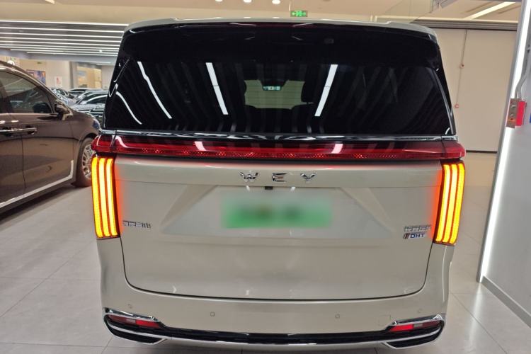 Used Wey Gaoshan 2023 Four-Wheel Drive Flagship Edition
