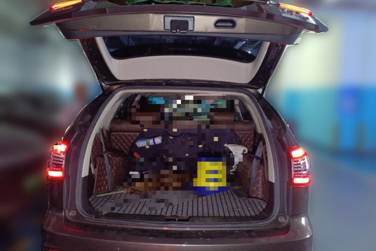 Used BYD S7 2017 2.0T Automatic Luxury Model Trunk