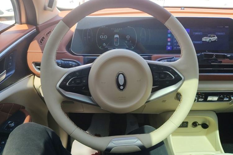 Used ORA Good Cat 2022 Morandi Edition 400km Standard Range Premium Version Lithium-Ion Battery Steering Wheel