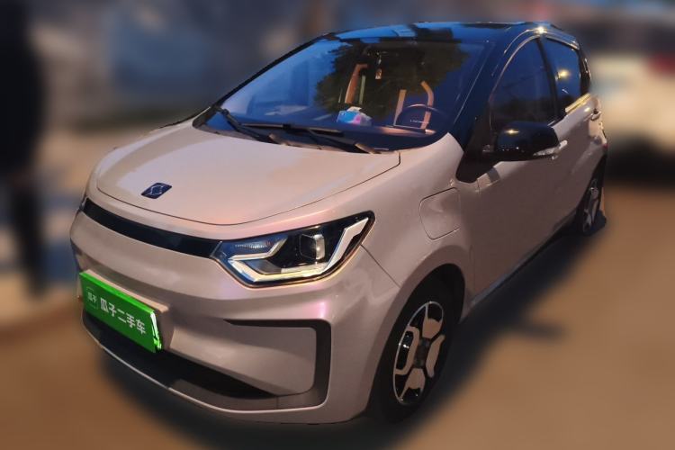 Used SOL E10X 2022 Flower Fairy Style Baby's Breath